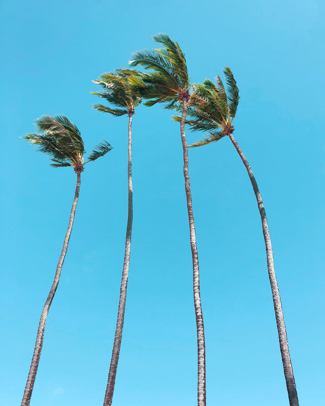 Take Me There - Print